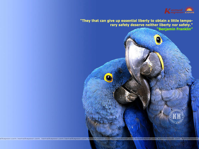 desktop wallpaper with quotes. Fact-Quotation Wallpaper