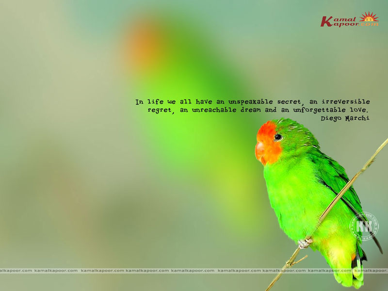 desktop wallpaper with quotes. Fact-Quotation Wallpaper