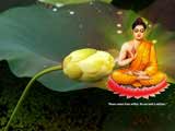 Buddha Wallpaper