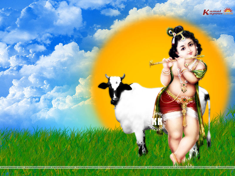 Janmashtami Special Hd Wallpapers Janmashtami Wallpapers Free